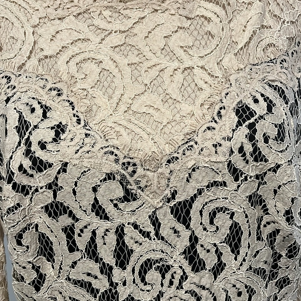 Tadashi Shoji Chantilly Lace Gown - Picture 5 of 15